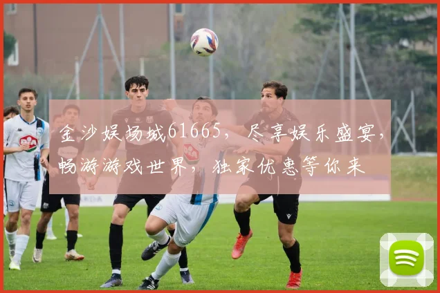 金沙娱场城61665，尽享娱乐盛宴，畅游游戏世界，独家优惠等你来