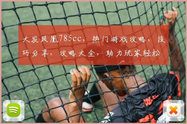 大发凤凰785cc，热门游戏攻略，技巧分享，攻略大全，助力玩家轻松上分