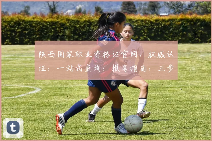 陕西国家职业资格证官网，权威认证，一站式查询，报考指南，三步轻松获取