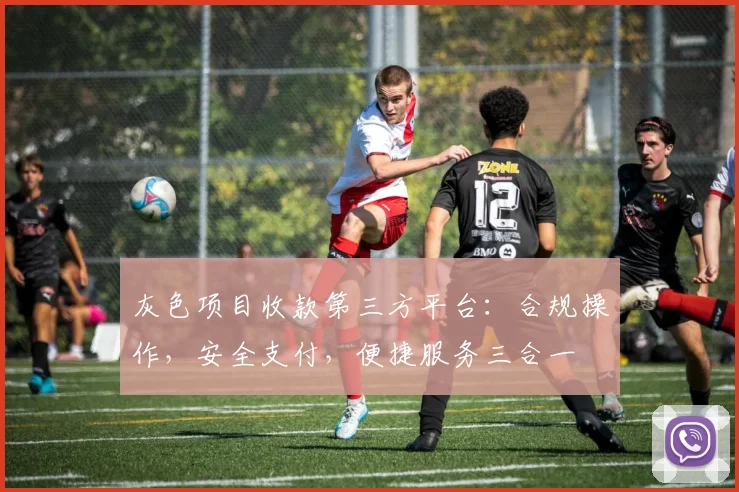 灰色项目收款第三方平台：合规操作，安全支付，便捷服务三合一